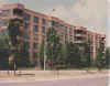 DonMills1200.jpg (13596 bytes)