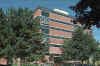 Sumach90.jpg (33564 bytes)